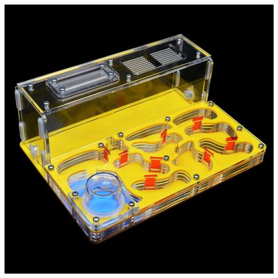 MTFZD Ant Farm Test Tube Moisture Insect Villa Acryl Ant Housing Flat Ant Nest Farm with Feeding Area Insect Habitat Ant House Cage Pet Anthill Workshop 15 * 20 * 7.5cm (Color : Yellow)