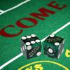 Cyber-Deals Craps Kit Sets with Dice Stick & Acrylic Dice Boat, Featuring Authentic Las Vegas Casino Table-Played Dice (Palace Station (Green Polished)) view 3