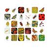 Mmo des arbres - Un jeu de memory pour apprendre en s'amusant en famille - Ds 4 ans view 2