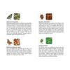 Mmo des arbres - Un jeu de memory pour apprendre en s'amusant en famille - Ds 4 ans view 3
