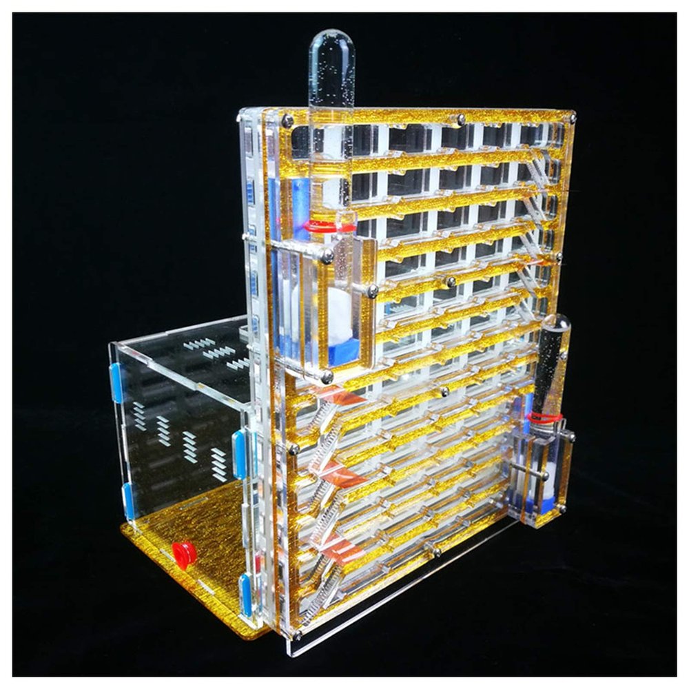 MTFZD Ant Farm Large Size Ant Nest Acrylic Ant Housing Ant Farm Habitat Formicarium to Observe Live Ants House Feeding Display Box Moisturizing Water Tower for Feeding Ants