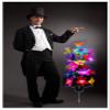 Bemagic007 Torch Into A Bouquet - Magic Tricks, Stage Magic, Party Magic, Magic Prank.etc.. view 2