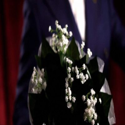 Bemagic007 The Bouquet - Magic Tricks, Stage Magic, Party Magic, Magic Prank.etc..