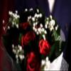Bemagic007 The Bouquet - Magic Tricks, Stage Magic, Party Magic, Magic Prank.etc.. view 2