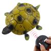 Tipmant RC Turtle IR Remote Control Tortoise Crawl Fake Electric Animal Toy Car Vehicle for Kids Birthday Gifts (Brown) view 1
