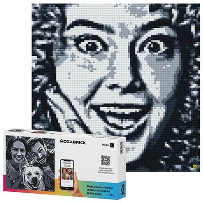 MOZABRICK Building Set Model L | Craft Kit for Adults |Custom Photo Mosaic That Turns Any Picture into a Pixel Art Made from Building Blocks | Personalized Wall Art and Original Gift