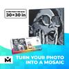 MOZABRICK Building Set Model L | Craft Kit for Adults |Custom Photo Mosaic That Turns Any Picture into a Pixel Art Made from Building Blocks | Personalized Wall Art and Original Gift view 2