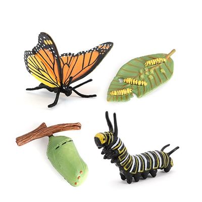 Butterfly Growth Cycle, Animal Growth Cycle Biological Model, Growth Stage Lifelike Butterfly Life Cycle Model Set for Kids Education Insect Themed Party Favors