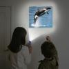 Pup Go Sea World Projector Flashlight for Kids Ages 3 4 5 6 7, with 3 Discs 24 Images, Sea Creatures Toys for Boys Girls, Shark Toy for Kid, Occean Night Light Projector, Shark Gifts Games for Kids view 2