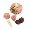 4D Anatomy Brain Model Disassembled Human Brain Model Structural Anatomy Medical Teaching Learning Tool,Plastic Human Head Anatomy Model view 4