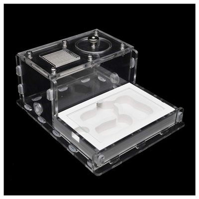 MTFZD Ant Farm Acrylic Ant Nest Habitat Ant Farm Flat Glass Gypsum Insect Cage Pet Anthill Workshop Display Box with Feeding Area Insect Villa for Ant Feeding House