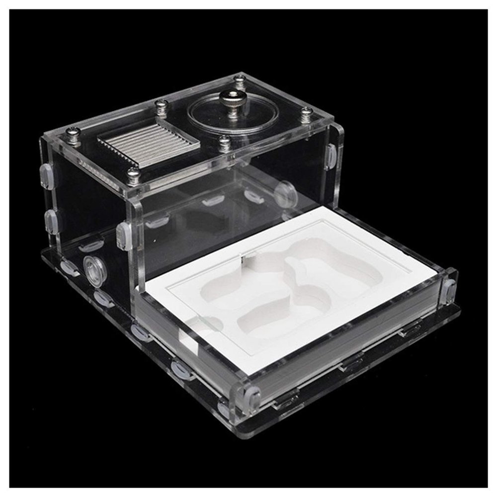 MTFZD Ant Farm Acrylic Ant Nest Habitat Ant Farm Flat Glass Gypsum Insect Cage Pet Anthill Workshop Display Box with Feeding Area Insect Villa for Ant Feeding House