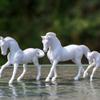 Breyer Horses Stablemates Horse Family Paint Set | 3 Horse Set | 1:32 Scale | Horse Toy | Model #4239, White view 4