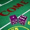 Cyber-Deals Craps Kit Sets Including 19mm Dice (Set of 5), Layout, Stick, Acrylic Dice Boat & Accessories (Purple) view 3