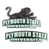 Desert Cactus Plymouth State University Sticker Panthers Vinyl Decal Laptop Water Bottle Car Scrapbook (4 Inch Set V1) view 1