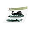 Desert Cactus Plymouth State University Sticker Panthers Vinyl Decal Laptop Water Bottle Car Scrapbook (4 Inch Set V1) view 3