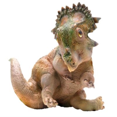 A-qi Young Sinoceratops Figure Ceratopsidae Dinosaur Triceratops Model Realistic PVC Animal Collector Gift