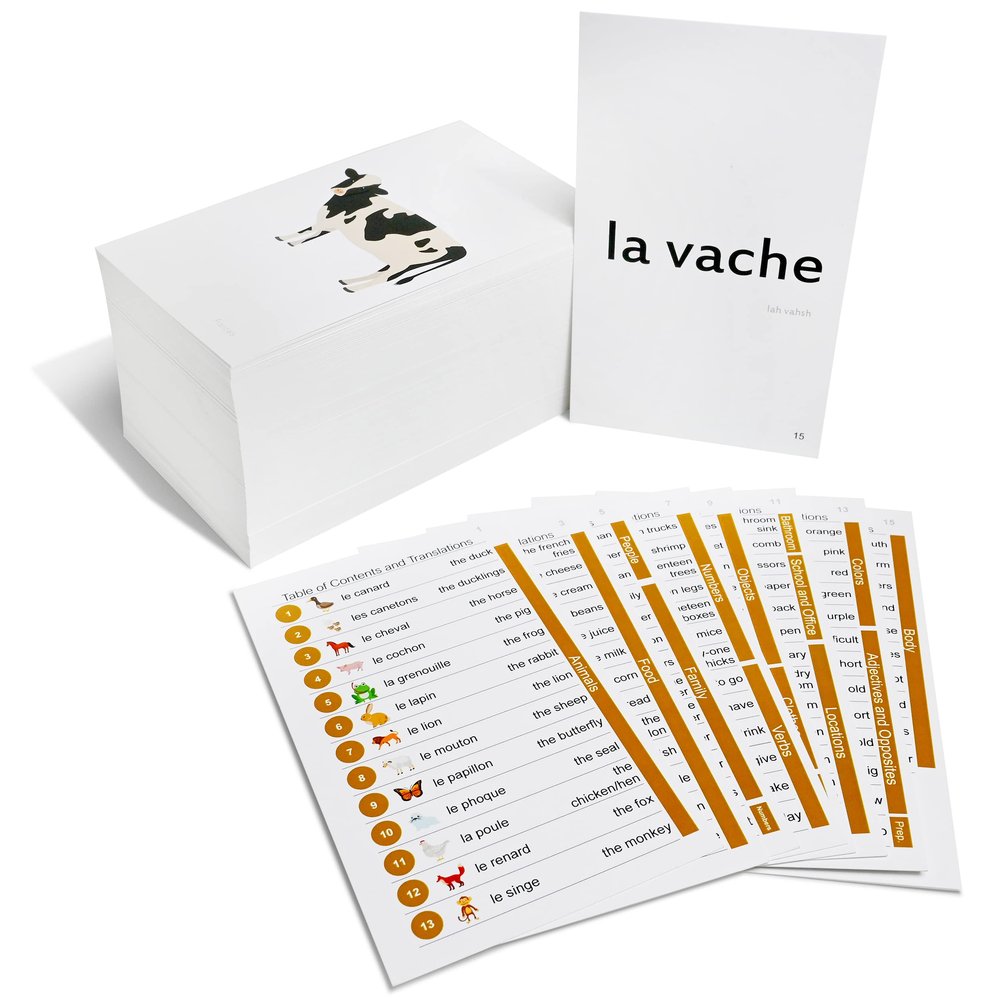 192 French Beginning Vocabulary Flash Cards with Original Artwork - for All Ages