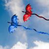 JEKOSEN Fiery Dragon 54" Huge Kite for Kids and Adults Easy to Fly Single Line String with 160" Tail for Beach Trip Park Family Outdoor Games and Activities view 4