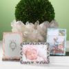 Olivia Riegel Baby-Pink Harlow 5x7 Enamel Frame (r) - 5x7 view 2