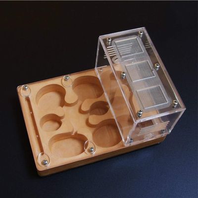 Ant Farm Ant Nest Acrylic Ant Farm Insect Villa Ants Workshop with Feeding Area Ants Habitat Ant House Advanced Mania for Birthday Present Gift (Color : A)