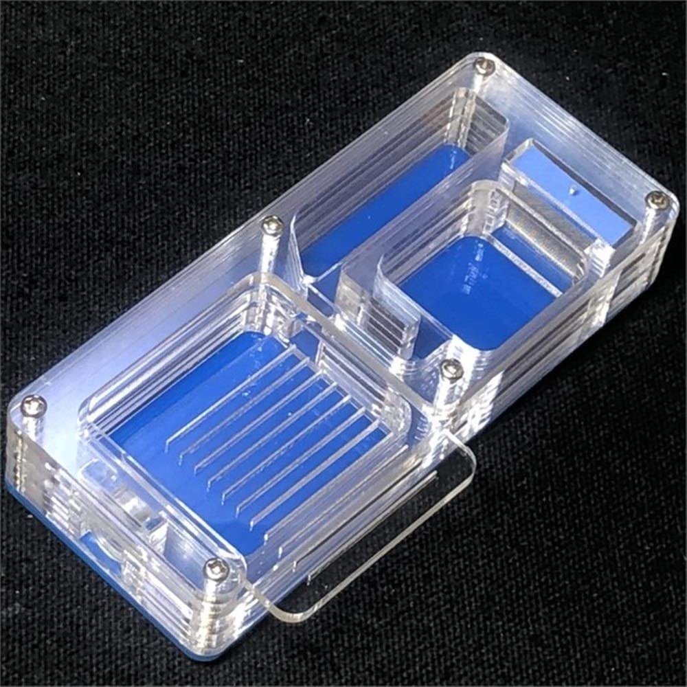 MTFZD Ant Farm Ant Farm Acrylic Maze Ants House Nests with Feeding Area Factory Ant Nest Villa Insect Spong Moisturing Nest Ants Habitat Pet Anthill for Birthday Present Gift (Color : Blue)