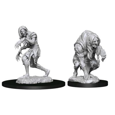 Wizkids Pathfinder Battles Deep Cuts - W14 Annis Hag & Green Hag WZK90266