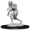 Wizkids Pathfinder Battles Deep Cuts - W14 Annis Hag & Green Hag WZK90266 view 2