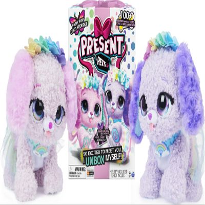 Present Pets, Fairy Puppy Interactive Plush Toy with Over 100 Sounds and Actions (Style May Vary), Kids Toys for Girls Aged 5 and Above, 6061372