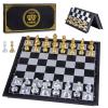 AMEROUS 10'' Magetic Travel Chess Set, Plastic Portable Folding Chess Board Game with Gold and Silver Chess Pieces - 2 Extra Queens - Chess for Beginner, Kids, Adults view 1