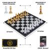 AMEROUS 10'' Magetic Travel Chess Set, Plastic Portable Folding Chess Board Game with Gold and Silver Chess Pieces - 2 Extra Queens - Chess for Beginner, Kids, Adults view 4