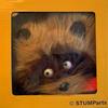 STUMParts Roadkill Gag Raccoon Hooks to Car, Jeep or Truck Grill view 3