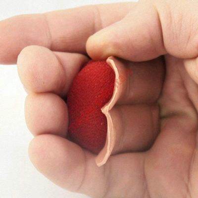 Sanada Gimmick Magic Tricks , Party Tricks, Amazing Tricks , Magic Kit,Close Up Magic