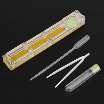 SALUTUYA Formicarium Display Ornamental Box with Water Tower Easy to Install Ornamental Box breeding Box for Kids for Educational(Yellow nest)