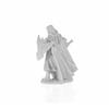 Alandin Elf Paladin Miniature 25mm Heroic Scale Figure Dark Heaven Bones Reaper Miniatures view 3