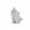 Alandin Elf Paladin Miniature 25mm Heroic Scale Figure Dark Heaven Bones Reaper Miniatures view 4