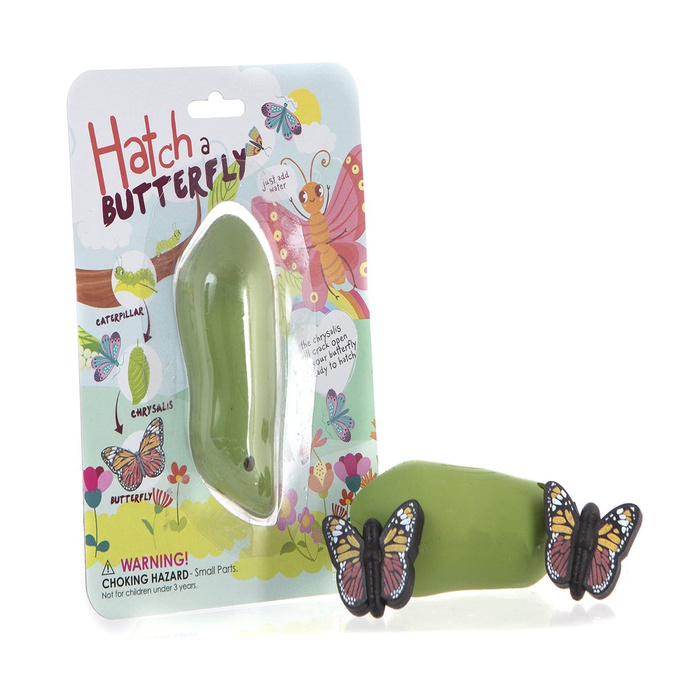 Boxer Gifts Hatch Your Own Butterfly Childrens Toy | Grows in Water | Fun Birthday for Girls