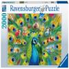 Ravensburger Land of The Peacock 2000 Piece Jigsaw Puzzle for Adults - 16567 - Every Piece is Unique, Softclick Technology Means Pieces Fit Together Perfectly view 1