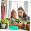 Beach Bonsai Tools Soil Sieve Garden Sand Sieve Compost Soil Mesh Plastic Sifter Pan Gardening Digging Finding Treasure Discovery for Soil Riddle Mesh Strainer Plant Pot view 4