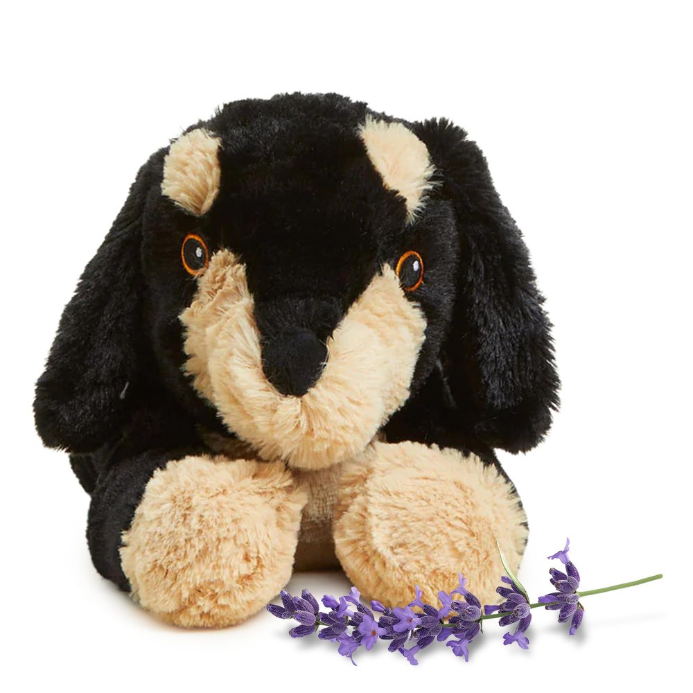 warmies Microwavable & Weighted Stuffed Animals, Dachshund - Heated Stuffed Animal Plushie for Warmth & Comfort - Cute Soft Plush Toys for Adults & Children (Boys, Girls, Babies & Toddlers)