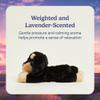 warmies Microwavable & Weighted Stuffed Animals, Dachshund - Heated Stuffed Animal Plushie for Warmth & Comfort - Cute Soft Plush Toys for Adults & Children (Boys, Girls, Babies & Toddlers) view 3