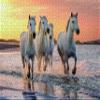 Horse Puzzle or Horse Puzzles for Adults 1000 Piece Horses Puzzle Frame with Fun Fact Poster & Reference Poster, Large Puzzle Galloping Horses on The Beach Illustration - 20x27 inches view 3