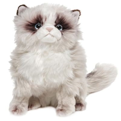 Bearington Cat Stuffed Animal - Ralistic Cat Plush Lifelike Himalayan Kitty Plushies That Look Real - Tasha 10.5"