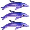 Galaxy Dolphin Inflates | 3 Pack | 36 Inches - Inflatable Pool Toys and Decorations view 2