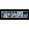 American Coin Treasures Arctic Animal United States Postage Stamp Series, 5 Mint State 33 Cent Stamps, Portfolio view 2