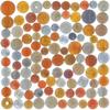 100 Coins from Different World Countries. Exclusive Money Collection. Each Coin is from a Separate Nation view 1