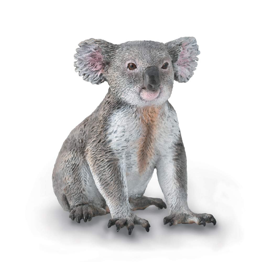 Animaux Sauvages Figurine (M) Koala