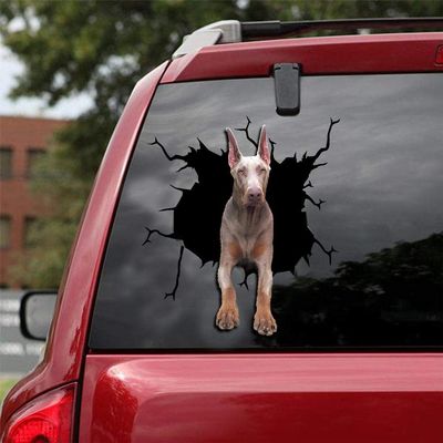 Ocean Gift Doberman Car Decals, Dog Car Stickers Pack of 2 - Sticker for Car Windows, Walls Series 16 Size 12" x 12"