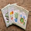 Green Thumb Club Kids Gift Box view 2