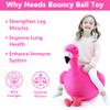iPlay, iLearn Bouncy Pals Kids Flamingo Hopper Ball, Inflatable Bouncing Animal Hopping Toys, Pink Plush Ride on Bouncer, Outdoor Indoor Active Jumping, Birthday Gift for 3 4 5 6 Year Old Girl Toddler view 2